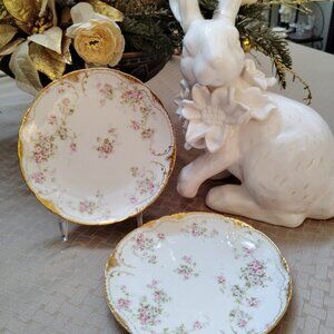 Theodore Haviland 2 Schleiger Limoges France Salad Plates